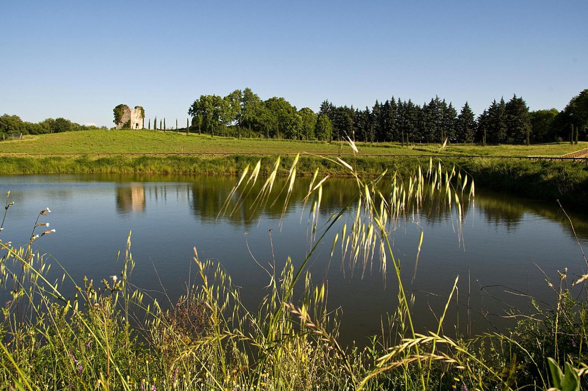 Tenuta Del Gallo Amelia Buitenkant foto