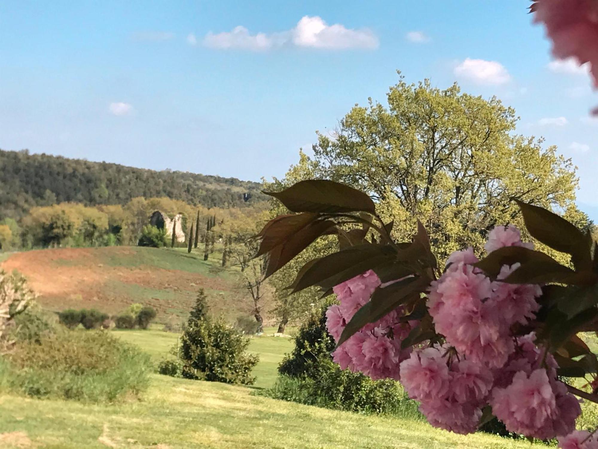 Tenuta Del Gallo Amelia Buitenkant foto