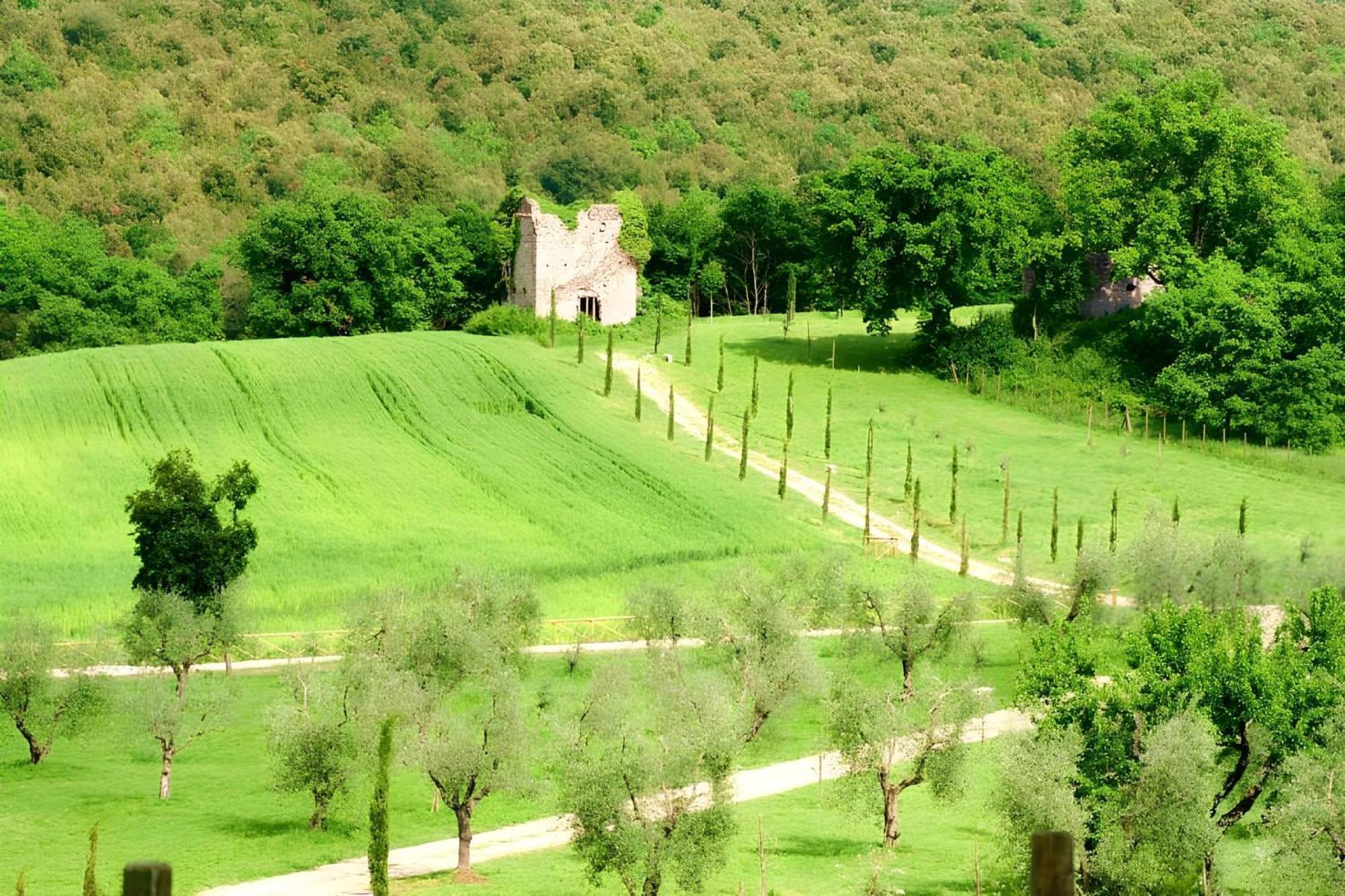 Tenuta Del Gallo Amelia Buitenkant foto